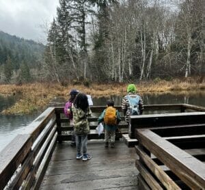 McLane Creek Nature Trail Overlook