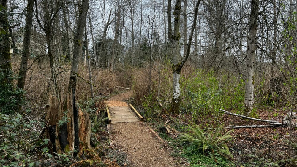 Greenbriar Community Trail in Woodinville